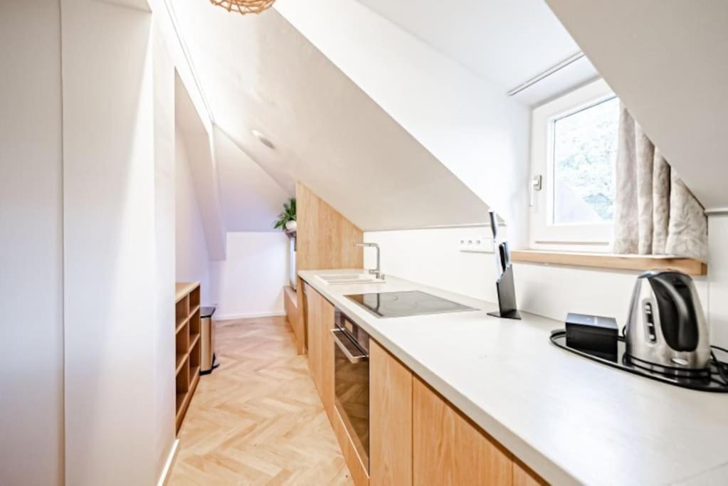 Magic With Terrace Apartment Prague